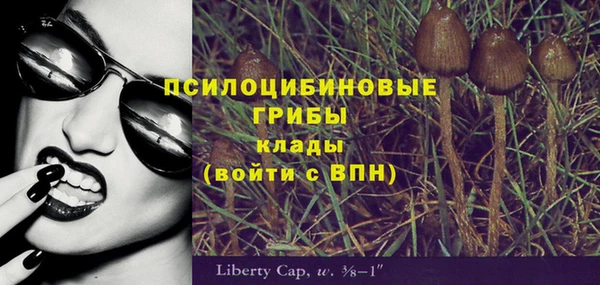 прущая мука Няндома