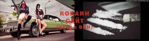 прущая мука Няндома