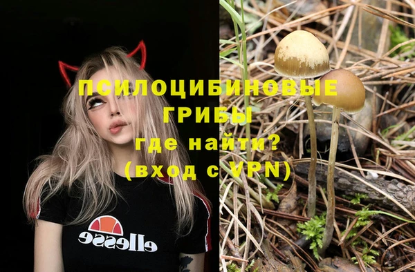 таблы Осташков